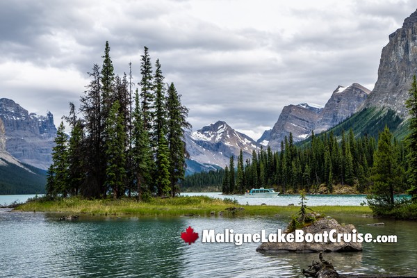 Maligne Lake Boat Cruise During March
