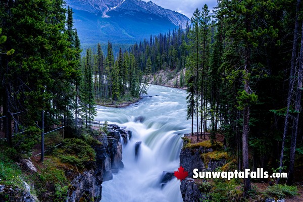 Sunwapta Falls in March
